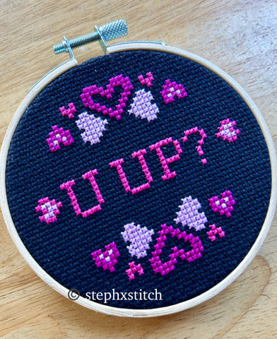 U UP? - Finished Cross-Stitch