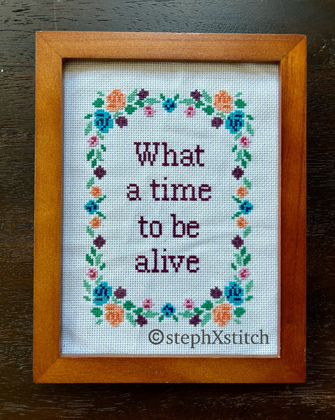 What A Time To Be Alive Framed Cross Stitch