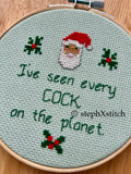 I've Seen Every Cock On The Planet - Finished Cross-Stitch
