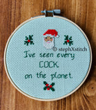 I've Seen Every Cock On The Planet - Finished Cross-Stitch
