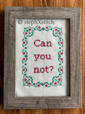 Can You Not? - Framed Cross Stitch